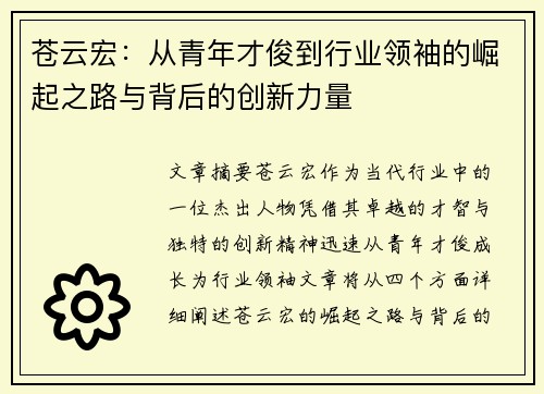 苍云宏：从青年才俊到行业领袖的崛起之路与背后的创新力量